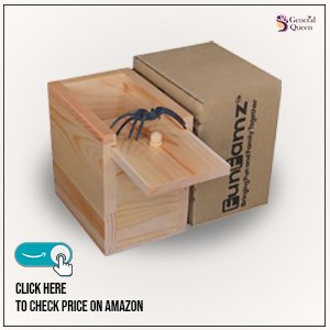 spider-prank-box-gift
